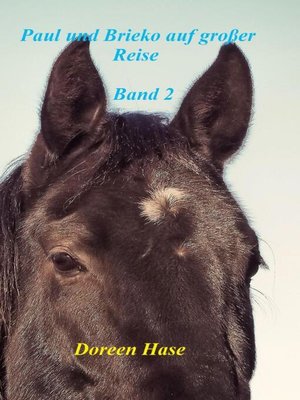 cover image of Paul und Brieko auf große Reise (Band 2)